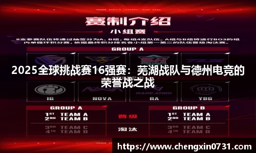 雷火电竞官方网站入口